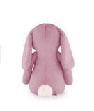 Penelope the Bunny  -  Lilium 30cm