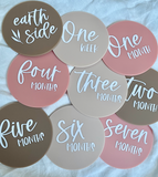 Blush Acrylic Milestone Disc Set