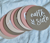 Blush Acrylic Milestone Disc Set