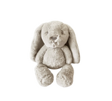 Little Ziggy Bunny Soft Toy