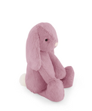 Penelope the Bunny  -  Lilium 30cm